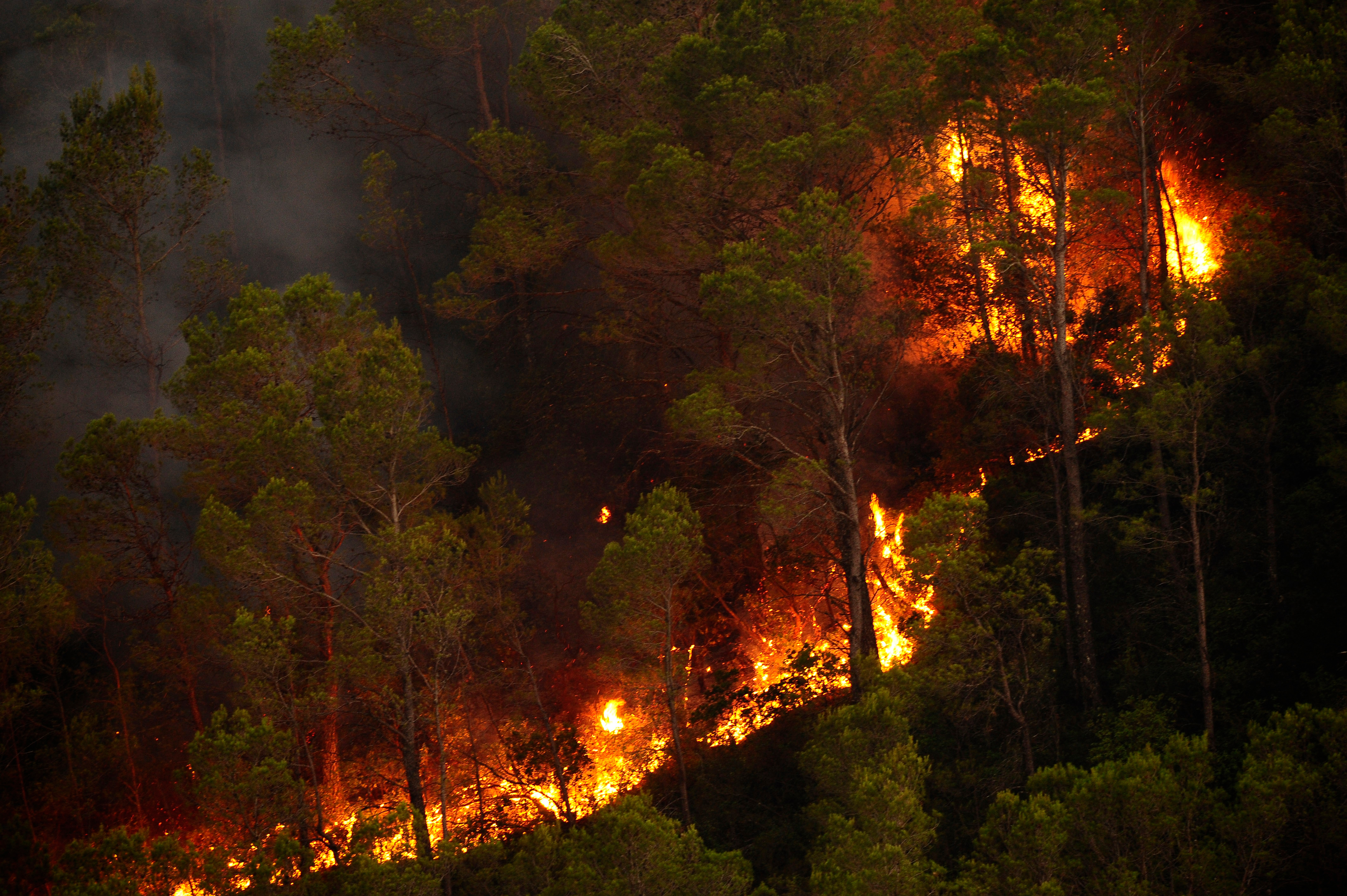 Лесные пожары в Каталонии